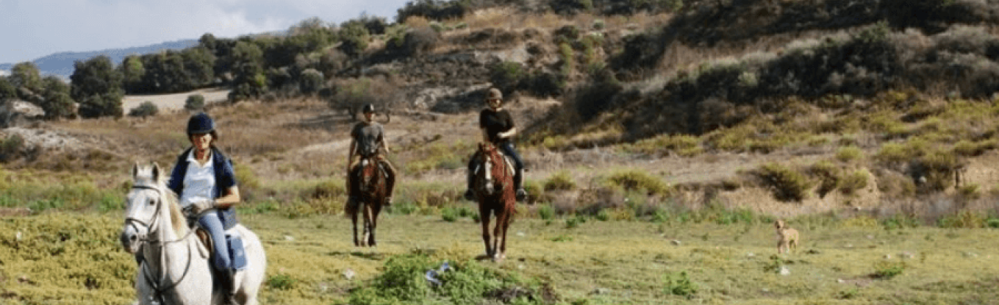 Horse Riding Centre, Ride in Cyprus, in Paphos