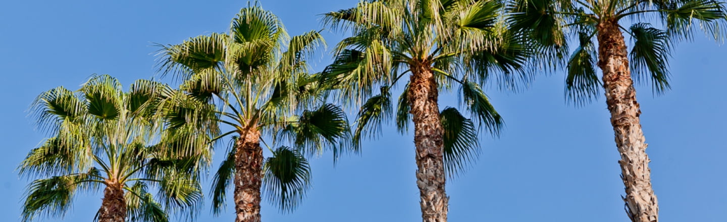 Pervola Beach in eastern Limassol 