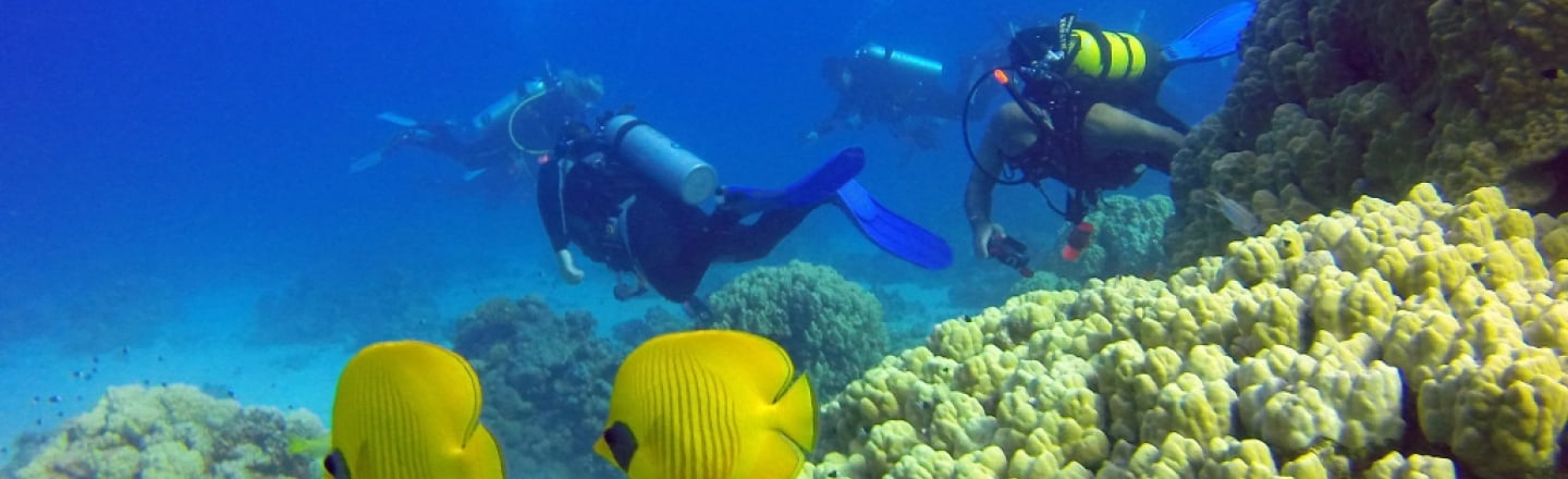 Nemo Dive Center, дайвинг-центр «Немо» в Ларнаке