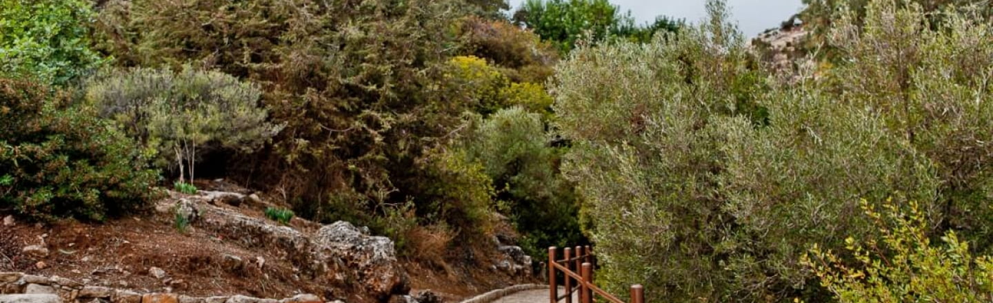 Пешеходные прогулки и активный отдых по маршруту Adonis Nature Trail в Полисе