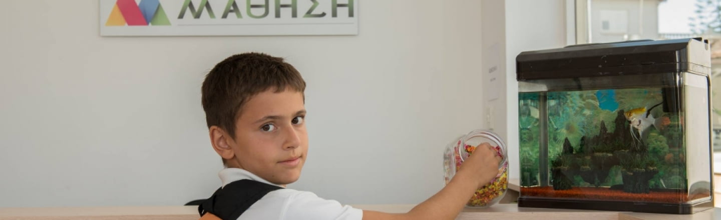 Private institute «Modern Learning», частный институт современного образования в Никосии