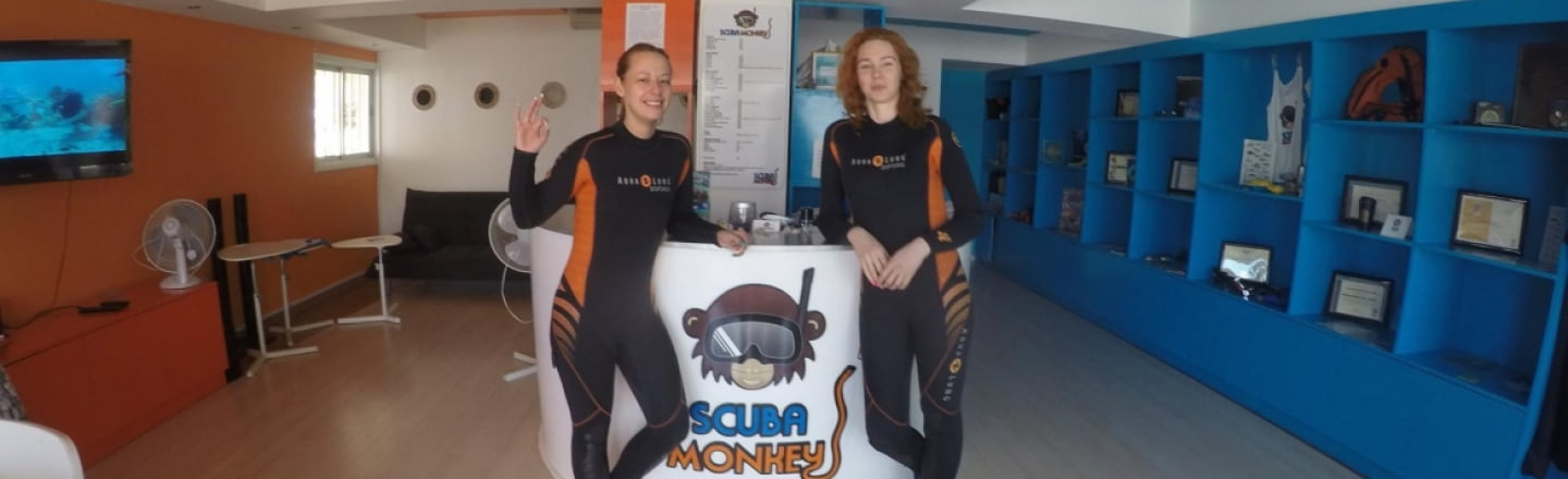 Дайвинг-центр Scuba Monkey в Айя-Напе
