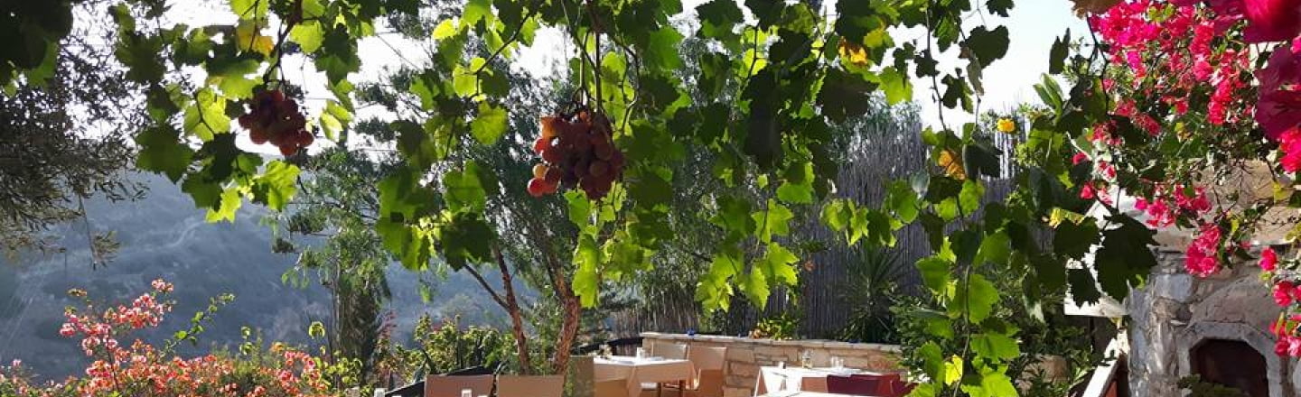 Tochni Taverna — Cyprus Villages, таверна Tochni Taverna в Ларнаке