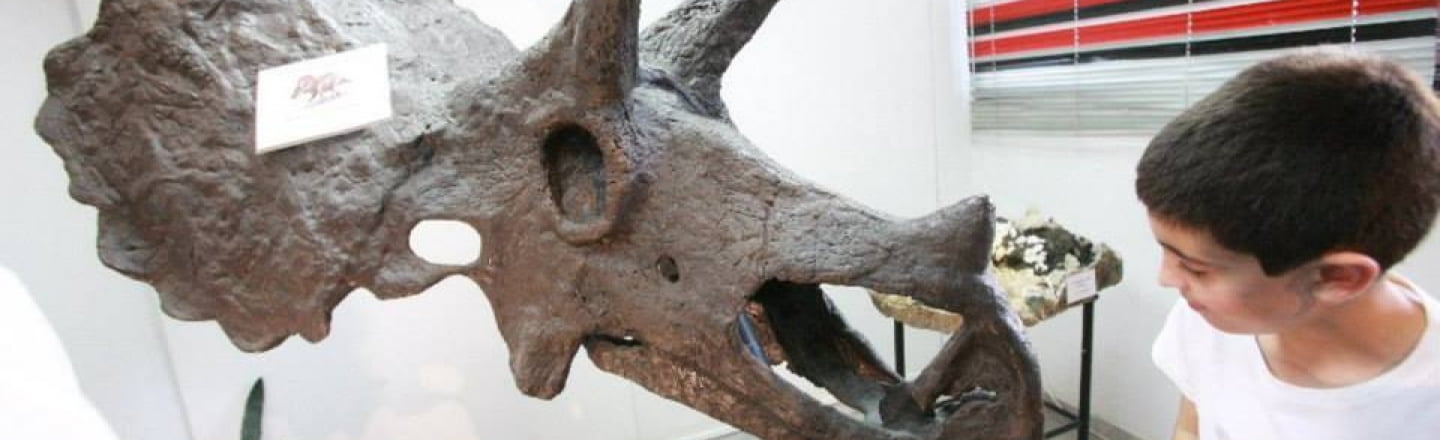 Tsirides Foundation, museum of natural history in Nicosia 