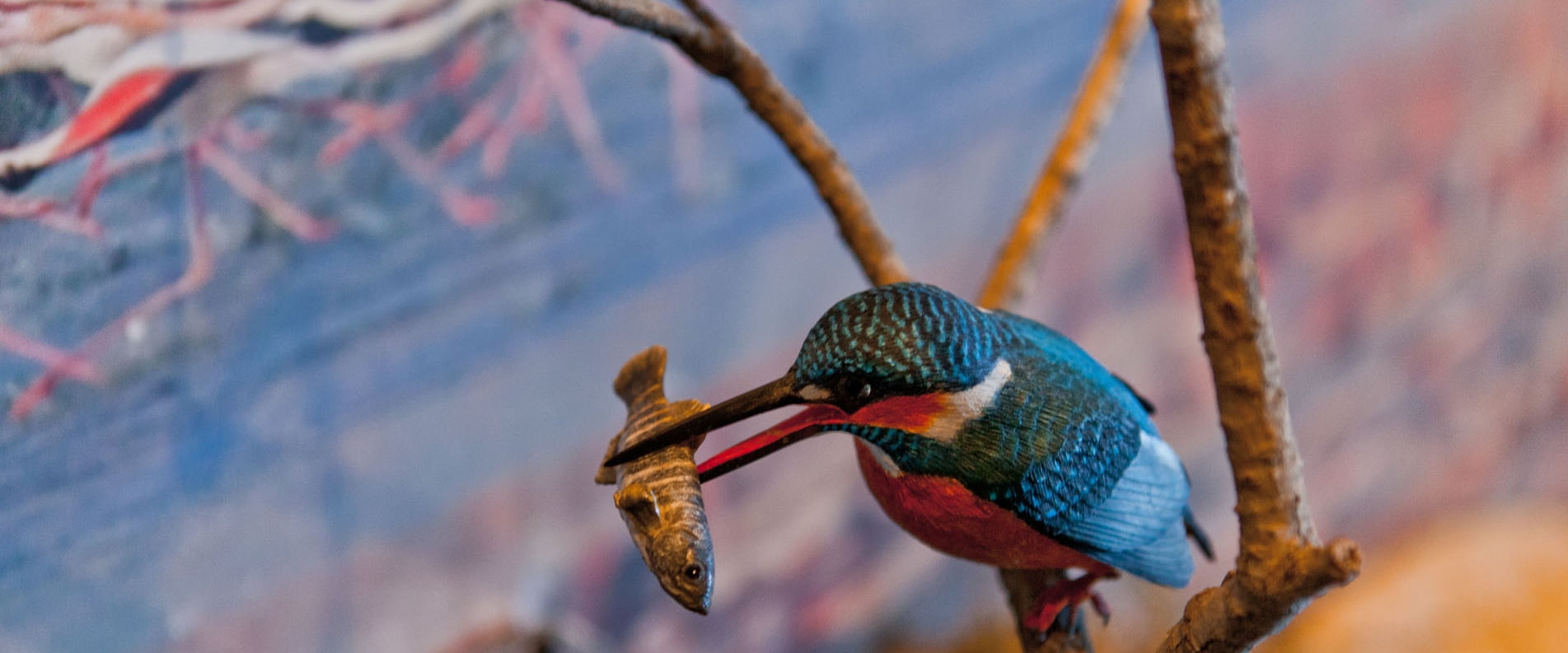 The Akrotiri Environmental Education Centre 