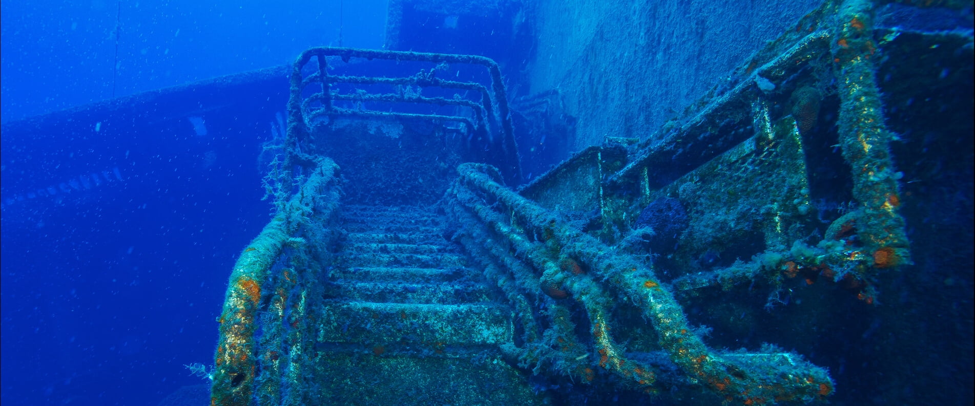 Diving Zenobia Ship Wreck