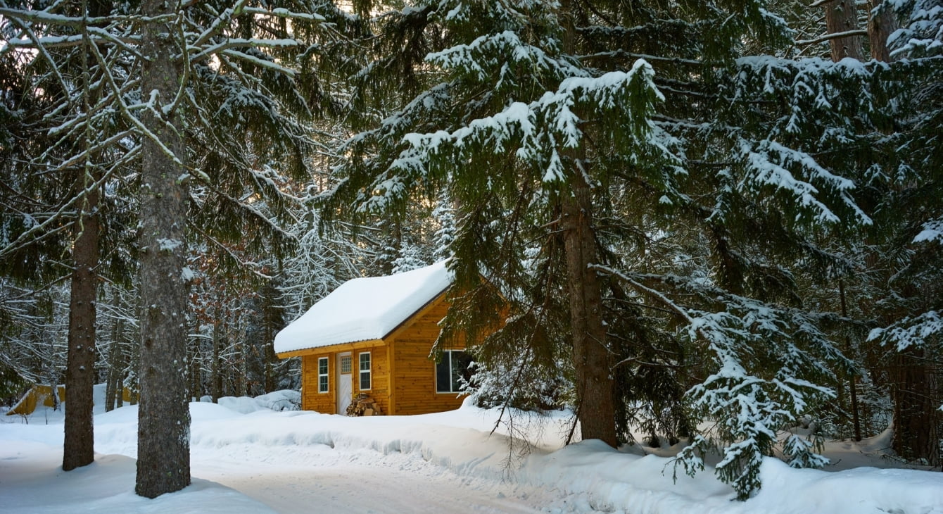 «Baby It’s Cold Outside»: Подборка «снежных» фильмов