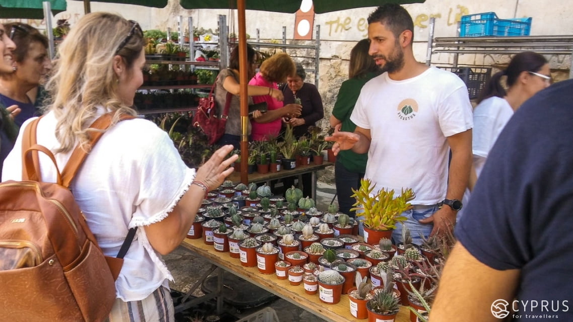 Выставка кактусов и суккулентов общества Cyprus Cactus and Succulent Society (CCSS)