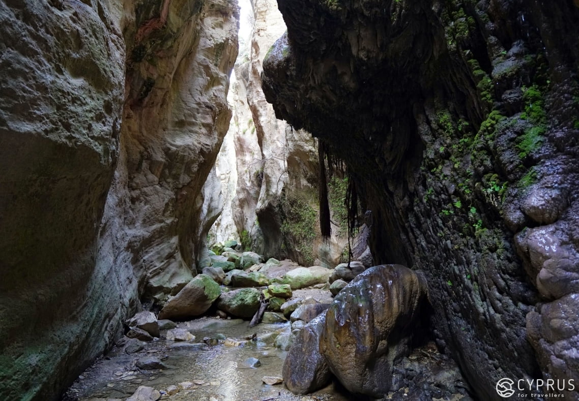 Avakas Gorge, Cyprus