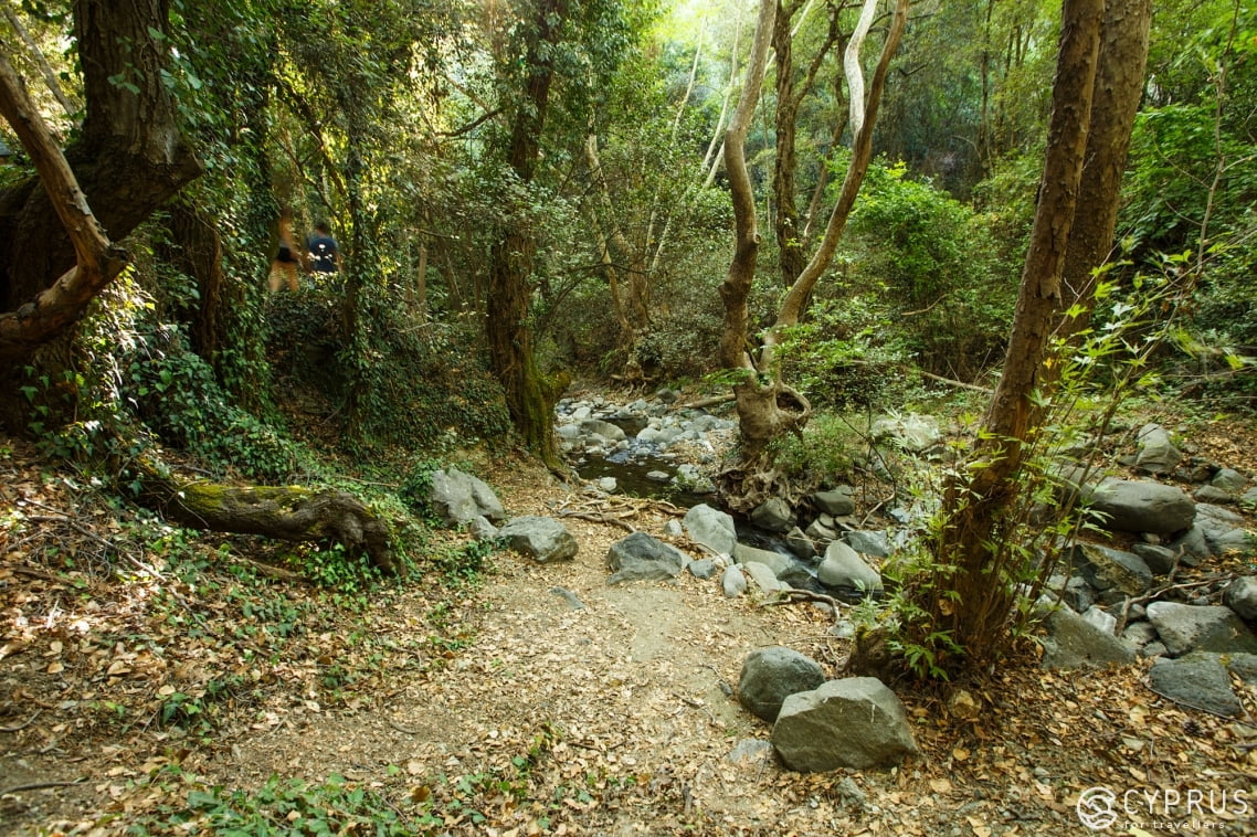Hiking Trails for Loners, Cyprus