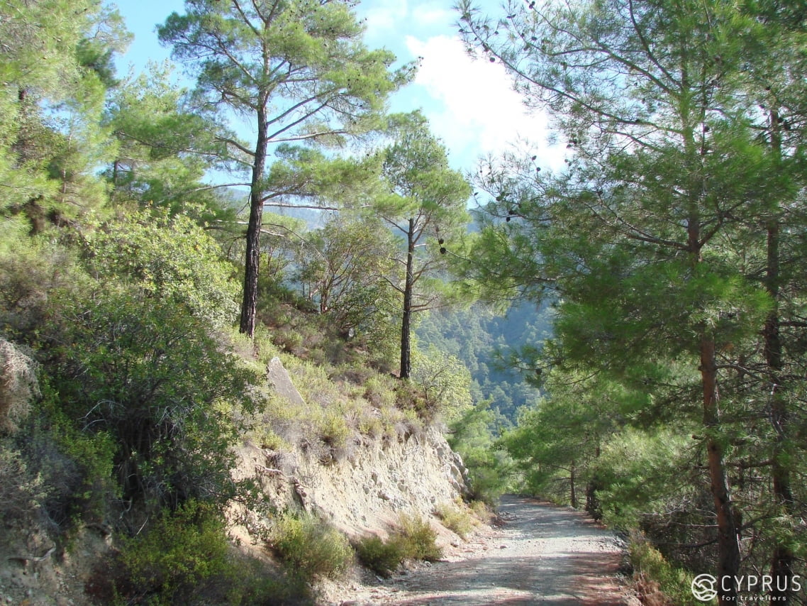 Troodos Mountains, Cyprus 