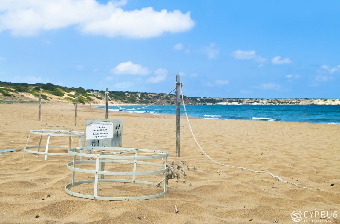 Safari in Cyprus. Jeeps, Buggies, Quads. Part 2. West Cyprus